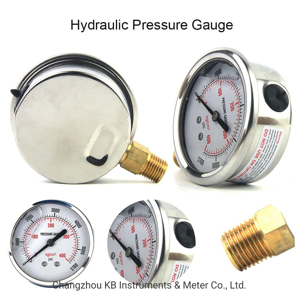 All Stainless Steel Pressure Gauge by Kpa MPa Bar with Oil Filled Diaphragm Seal 316L OEM