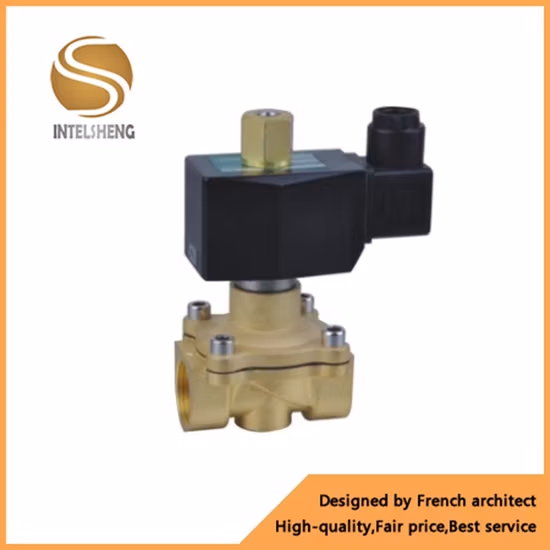 Brass Medical Miniature Proportional Control Air Solenoid Valve 12V High Flow for Ventilator Use