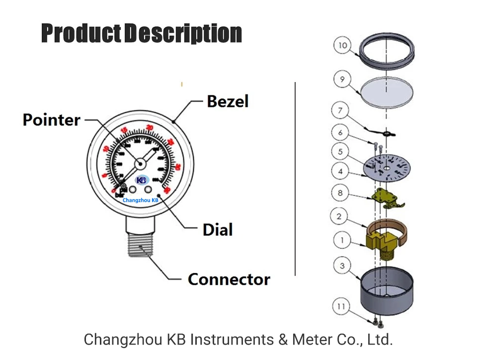 All Stainless Steel Pressure Gauge by Kpa MPa Bar with Oil Filled Diaphragm Seal 316L OEM