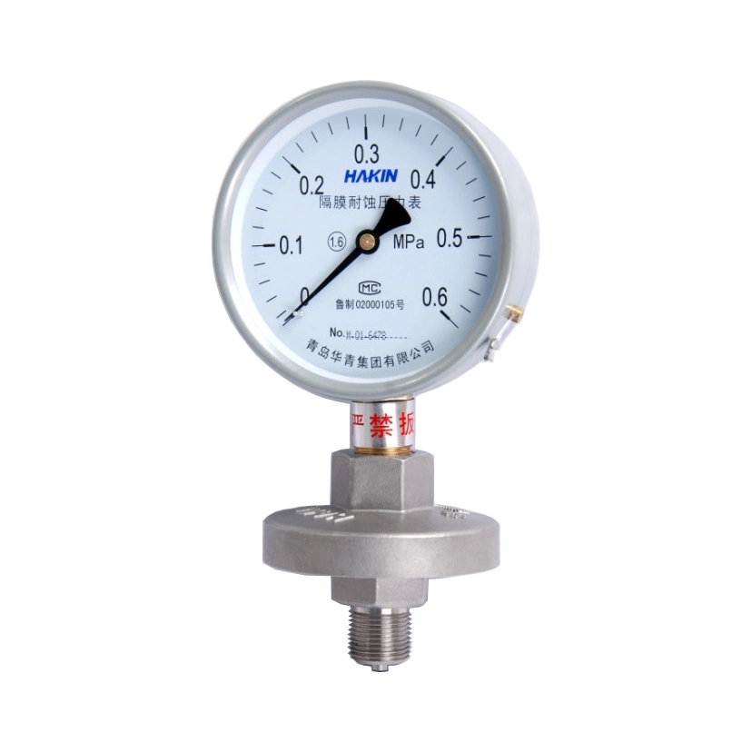 100mm Diaphragm Seal Pressure Gauge with Good Performance